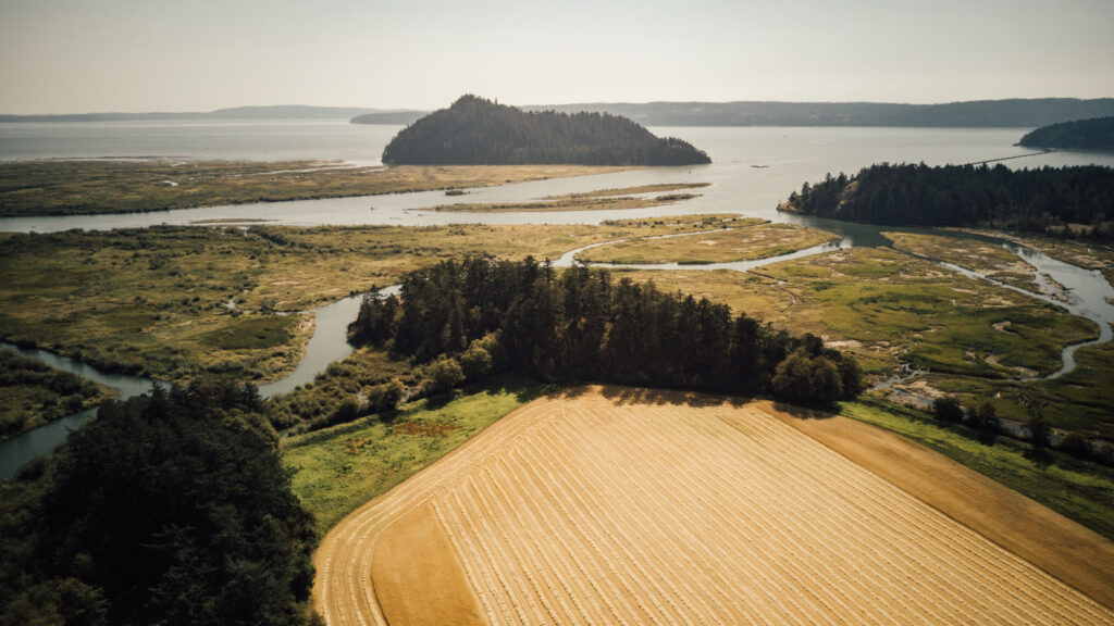 Skagit Valley Malting_fir island view