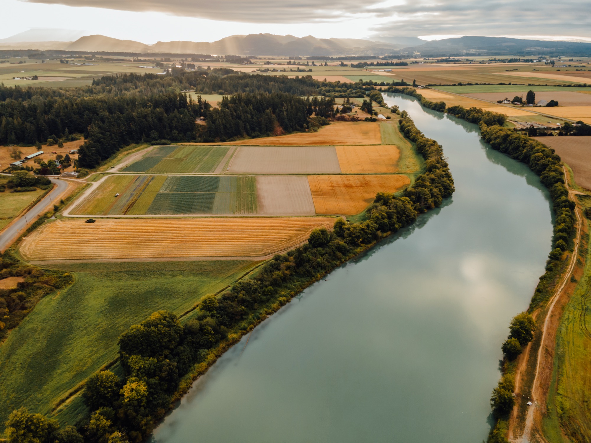 Genuine Skagit Valley Celebrate The Farms And Foods Of The Skagit Valley 3647