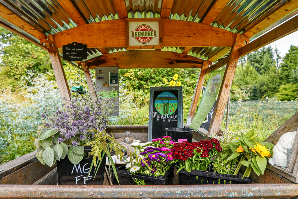 Mossy Gate Flower Farm Flower Stand at Big Lake, Washington