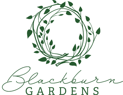 Blackburn Gardens farm stand in Mount Vernon, Washington_visit Skagit