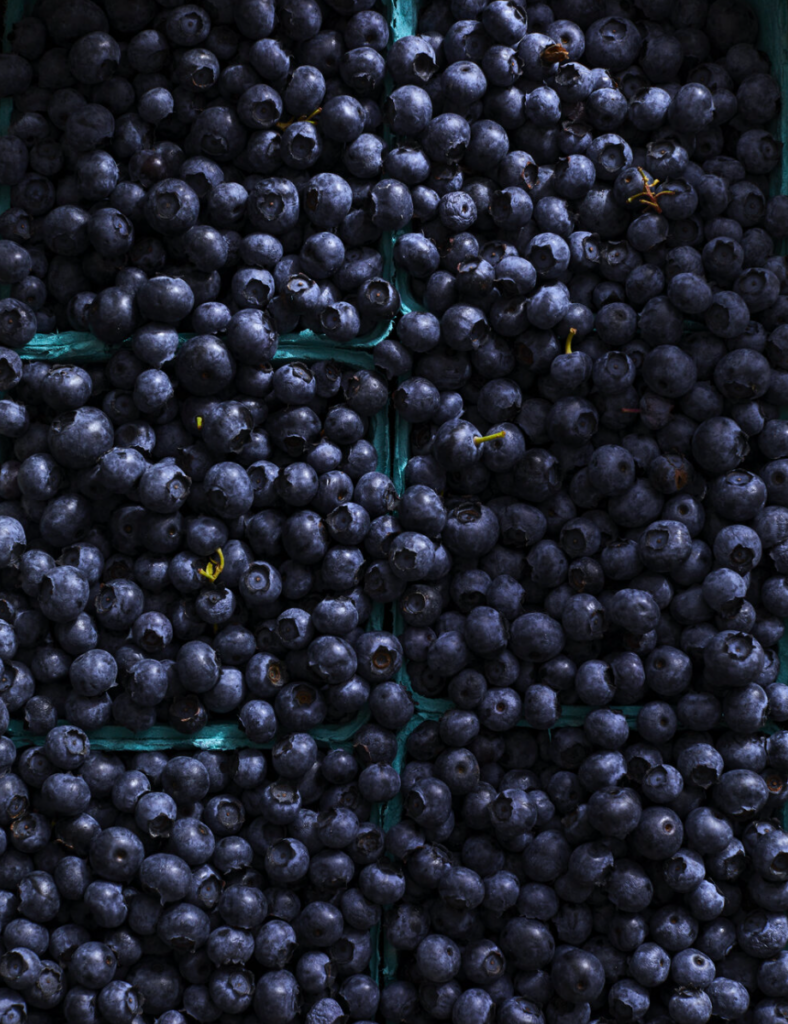 Genuine Skagit Cooking_blueberries in the Skagit Valley