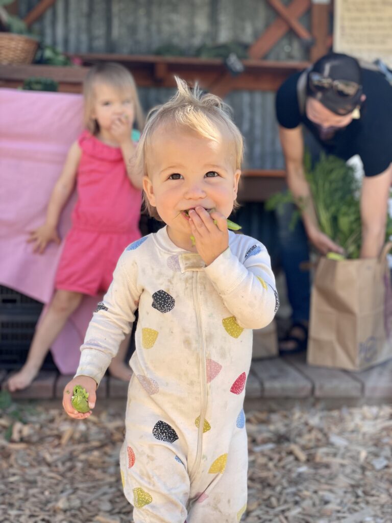 A little one enjoying a snap pea for Farmstand Fresh in the Skagit Valley, at Waxwing Farm