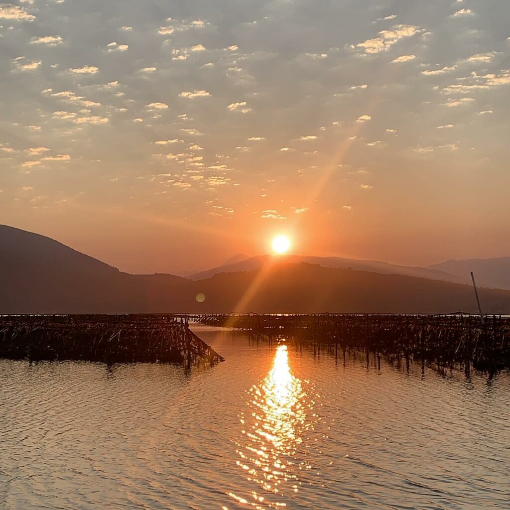 Sunrise over the oyster beds of Salty C Seafood in Samish Bay, Washington