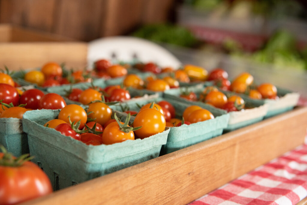 Fresh sungold tomatoes at the Red Shed Farm in La Conner Washington