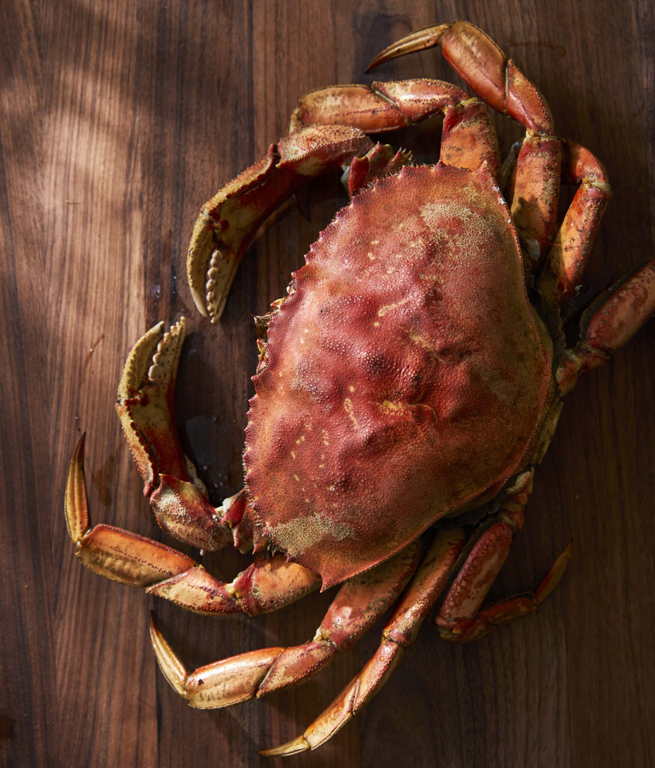 Dungeness Crab in Genuine Skagit Cooking