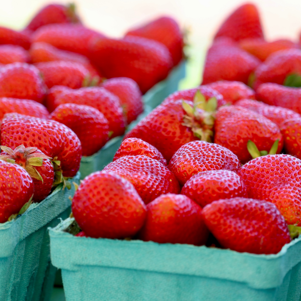 Strawberries_PureNelida_Skagit Valley