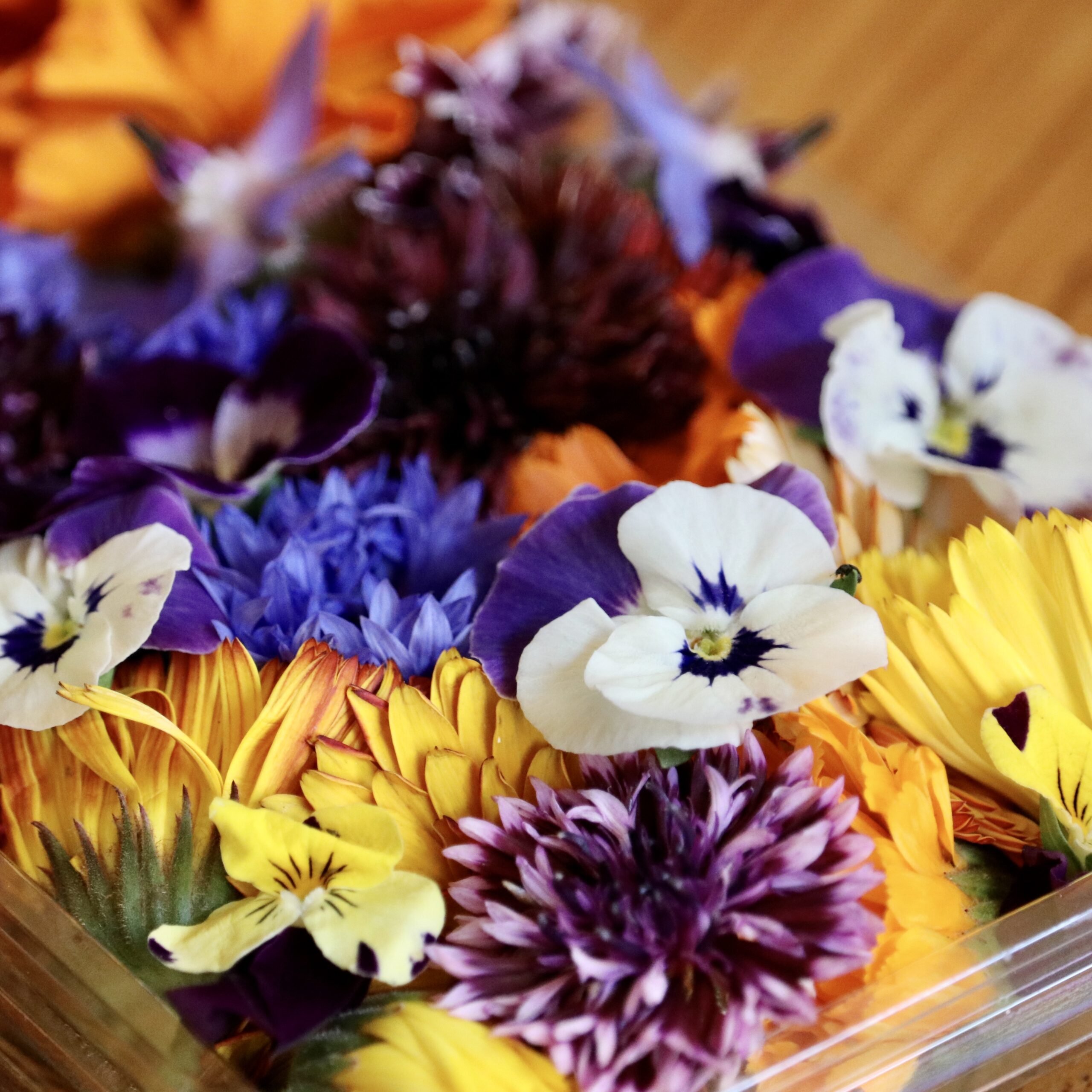 Edible flowers for Skagit Farm Tour and Tasting