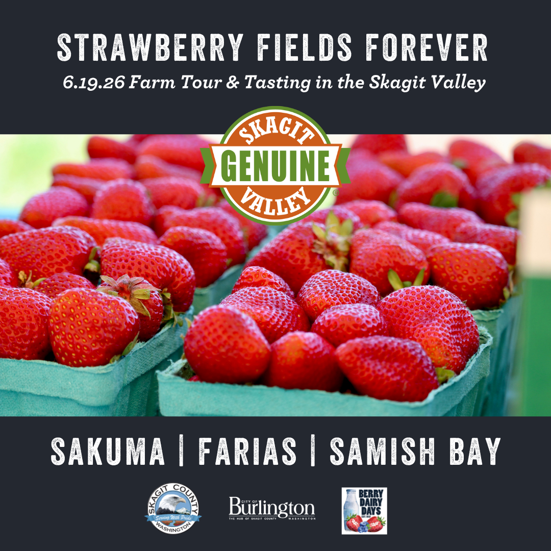 Strawberry Fields Forever Tour - Genuin…