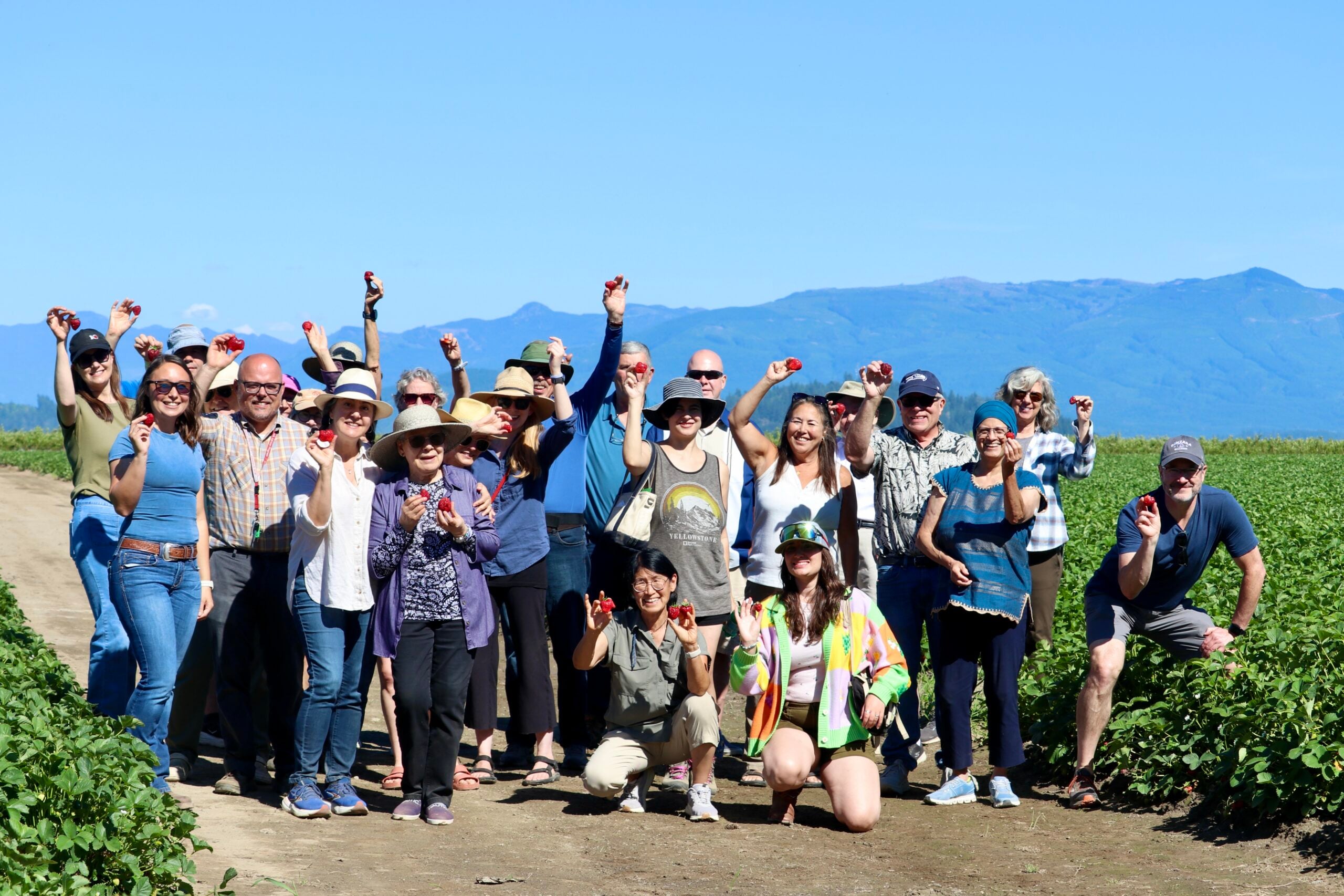 Skagit Farm Tours and Tastings - Strawberry Fields Forever tour