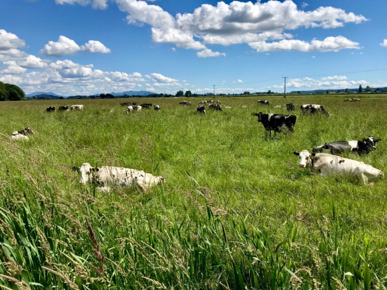 Three Farms, One Valley