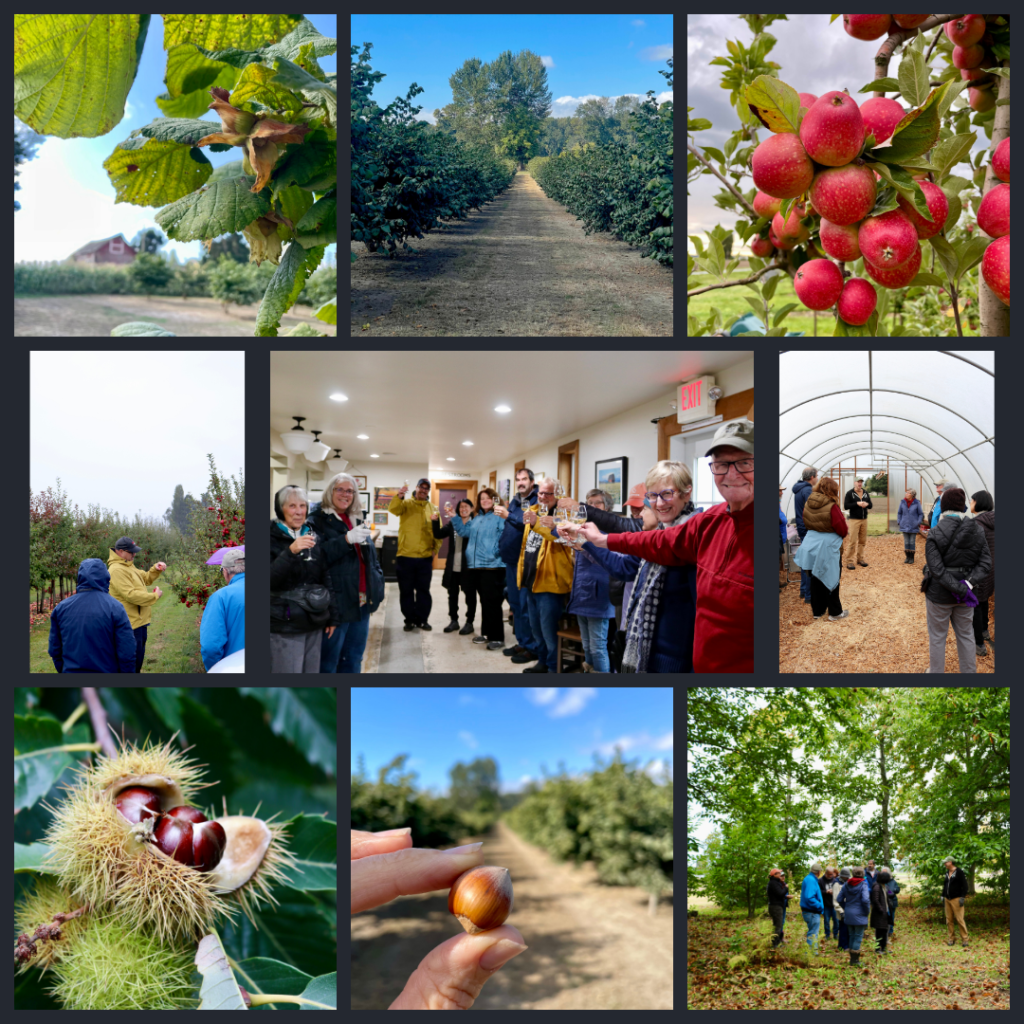 gallery of images from orchard fruits tour